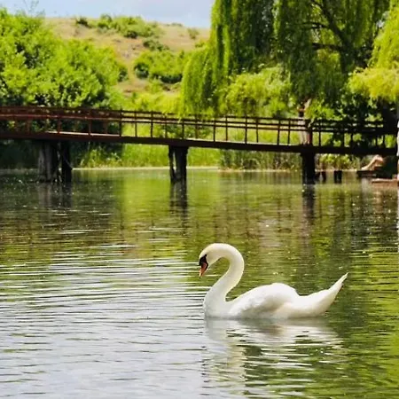 Διαμέρισμα Charming House *